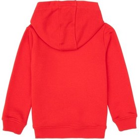 Resim U.S. Polo Assn. Erkek Çocuk Kırmızı Basic Kapüşonlu Sweatshirt 50313980-VR030 