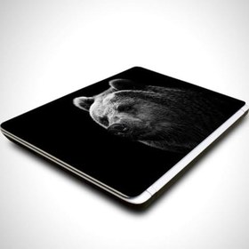 Resim Ayı Laptop Sticker 10 Inch (25X19Cm) 
