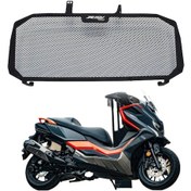 Resim Forza750 Honda Forza750 Nss750 Motosiklet Su Deposu Soğutma Ağı Su Deposu Koruma Ağı Koruyucu Kapak İçin Uygundur Diğer 