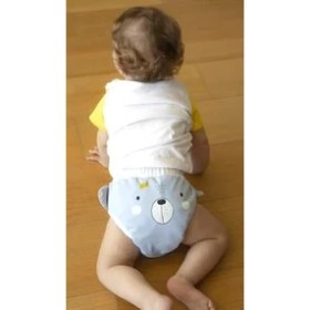 Resim Soft Alıştırma Külodu (Mavi, 2 Yaş) 