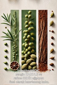 Resim Avon Elite Gentleman Erkek Parfüm ve Saç Vücut Şampuanı Paketi 