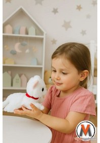 Resim Sevimli Peluş Yavru Kedi 35 Cm Sesli Miyavlayan Oyuncak Uyku Ve Oyun Arkadaşı 4 Renk Seçeneği Çok Renkli 