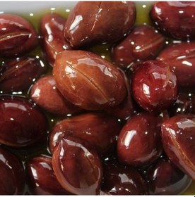 Resim Tüplü Özel İri Meyveli Kalamata Zeytin Fidanı 