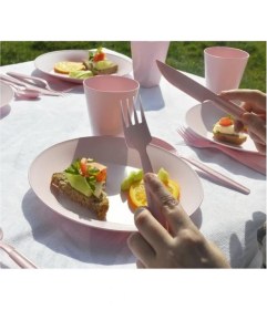 Resim Saban Piknik Seti Kare Pembe 31 Parça 