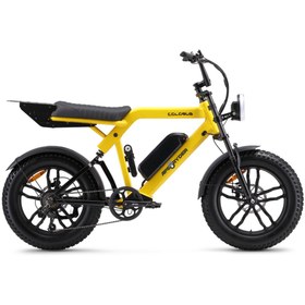 Resim Ape Ryder COLOBUS PREMİUM ELEKTRİKLİ BİSİKLET 750W 