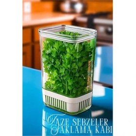 Resim Butik Hsnet Yeşillik Saklama Kabı - Taze Yeşillik Için - Soğan Maydanoz Vb Yeşillik Saklama 
