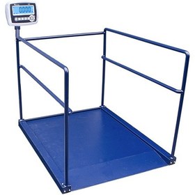 Resim Rcw 300 KG x 100 Gr 90 x 120 Diyaliz Baskülü Tek Rampa 