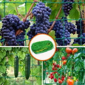 Resim Tırmanma Tesisleri için PE Bahçe Kafes Ağları, Salatalık, Asma, Sebzeler, Meyveler, Çiçekler, Domates Desteği - Bahçe Bitkileri Desteği için 1 Paket Arbors Mesh 
