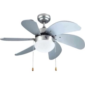 Resim Rubenis Rubenis Rbt 306 Slv Glob Tavan Vantilatörü 