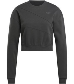 Resim AE VECTOR LAYER Antrasit Kadın Sweatshirt 
