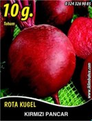Resim Kırmızı Pancar Tohumu 10 G Takribi 550 Tohum 