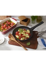 Resim Zwilling 66299206 Madura Plus Granıt Kıartma Tava 20CM 