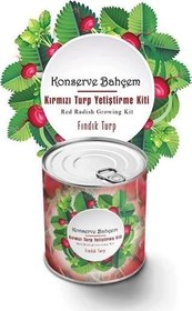 Resim Konserve Bahçem Evde Konservede Fındık Turp Yetiştirme Kiti 