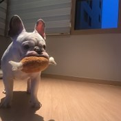 Resim 1 adet Dayanıklı Squeaky Köpek Oyuncak Tavuk Kanadı, Etkileşimli Pluş Çiğneme Pet Oyuncak, Pille Çalışmaz, Diş Temizliği ve Oyun Zamanı için Köpek Malzemeleri 