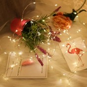 Resim Peri LED Işık 5 Metre Gün Işığı Dekor Lambası 50 Ledli 