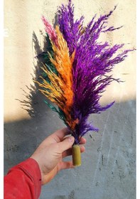 Resim Alyones 15'li Karışık Renk Doğal Pampas Küçük Boy 68as35d6as5d1a5s3d 