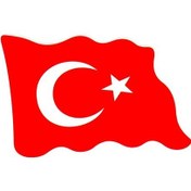 Resim Türkiye Bayrak Sevdalılarına Dalgalanan Bayrak 8X5 