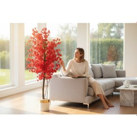 Resim 180 Cm Darbuka Saksıda Kırmızı Bahar Dalı Yeşil 