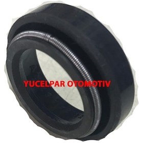 Resim Dacia Pick-Up Prizdirek Keçesi 179436149 