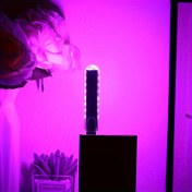 Resim 1 adet Taşınabilir USB Güç 8LED Gece Lambası, Modern Tarz Plastik Mini Yatak Yanı Okuma Lambası, İç Mekan Dekoratif Atmosfer Lambası, Bitki Lambası, Yatak Odası Dekoru, Oda Dekoru Eşyaları ve Seyahat Aydınlatma Kullanımı 