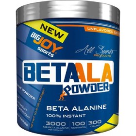 Resim BigJoy Sports BetaALA Powder 300 gr 