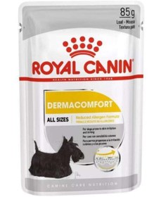 Resim Royal Canin Dermacomfort Loaf Yetişkin Köpek Yaş Maması 85 gr 
