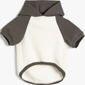 Resim Şardonlu Köpek Sweatshirt Kapüşonlu Renk Bloklu Baskılı 