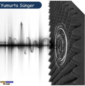 Resim Akustik Yumurta Sünger 60dns Yanmaz 50cmx50cm 40mm 20adet + 3 Sprey Yapıştırıcı 