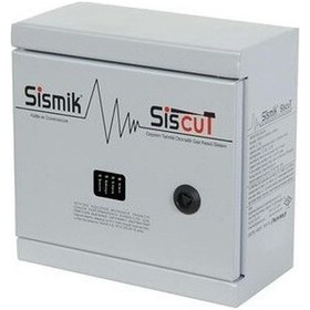 Resim Sismik 2 Kontaklı Elektronik Deprem Sensörü 