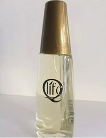Resim Qlife No:181 Kadın Parfüm EDP 50 ML 