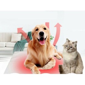 Resim Isımat 60 W Evcil Hayvan ve Ayak Isıtıcı 