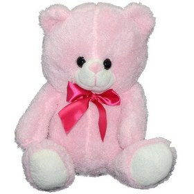 Resim Pl78816Y Halley Peluş Ayı 30 CM 