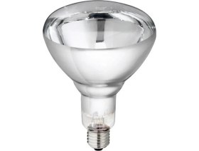 Resim Infrared BR125 150W Seffaf 230V E27 