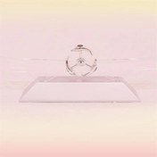 Resim Dekoratif Masa Üstü Obje Manyetik Kinetik Orbital Dönen Yunuslar 