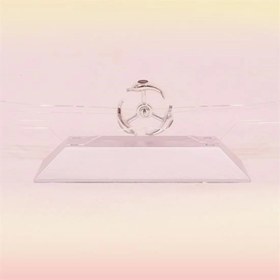 Resim Dekoratif Masa Üstü Obje Manyetik Kinetik Orbital Dönen Yunuslar 