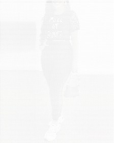 Resim Etiler Collection Kadın Kısa Kollu Bisiklet Yaka File Detaylı Viskon Iki Iplik Krop Ve Eşofman Altı Ikili Takım Siyah 