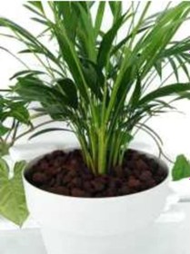 Resim Pomza Taşı 50 Lt [25 Kg] 15-25 Mm Kırmızı Pomza Lav Taşı 