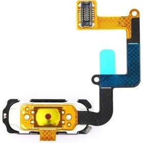 Resim Samsung Uyumlu Galaxy A720 Home Tuş Bordu Filmi Flex Gold 