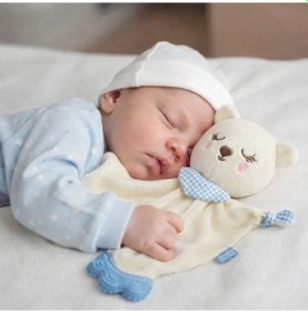 Resim Babyjem Diş Kaşıyıcılı Sevimli Uyku Arkadaşım Mavi 