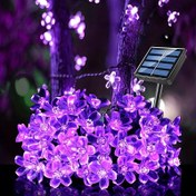 Resim Güneş Enerjili Mor Kiraz Çiçeği Işıklı Dize, 8 Fonksiyonlu, Avlu Balkon Dış Mekan Kamp Dekorasyon Işık Zinciri, Tatil LED Atmosfer Işığı, 1 Dizide 5 Metrelik 20 Işık veya 6.5 Metrelik 30 Işık 