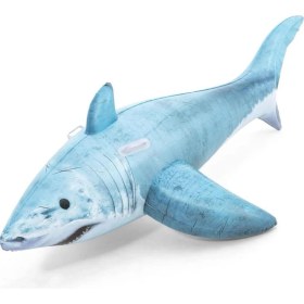 Resim Gerçek Köpekbalığı Hayvan Binici - 41405 (Lisinya) 