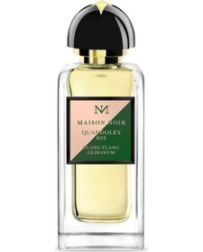 Resim Maison Noir Quandoley 805 Erkek Parfüm EDP 100 ML 