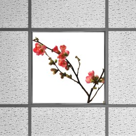 Resim Gök Panel 60X60 LED Panel Sıva Altı Desenli Tekli 46510022SA 