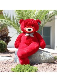 Resim Papyonlu Sevimli Peluş Şaşkın Ayı 80 Cm - Sevgiliye Özel Hediye 001 