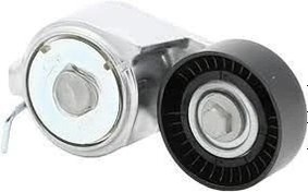 Resim Fiat Uno Alternatör Gergi Rulmanı 1.2-1.6 / 8V-16V Orijinal OPAR 55258443 