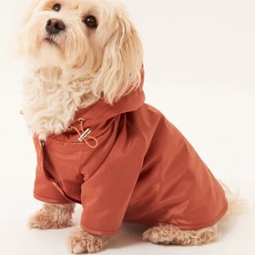 Resim Torino Köpek Yağmurluk - Tarçın - 4 