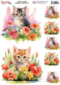 Resim Pirinç Dekopaj Kağıdı 30x42cm Pt-1501 Çiçek Kedi 