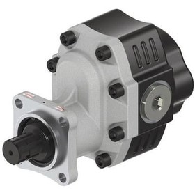 Resim 40 Serisi Iso Cift Yonlu Disli Pompalar 