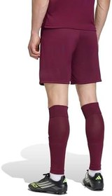 Resim adidas Entrada26 Shorts Şort Erkek 