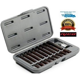 Resim Ri Co 19 Adet Kaplamali Deli Kli Torx Bi Ts Set-12371 